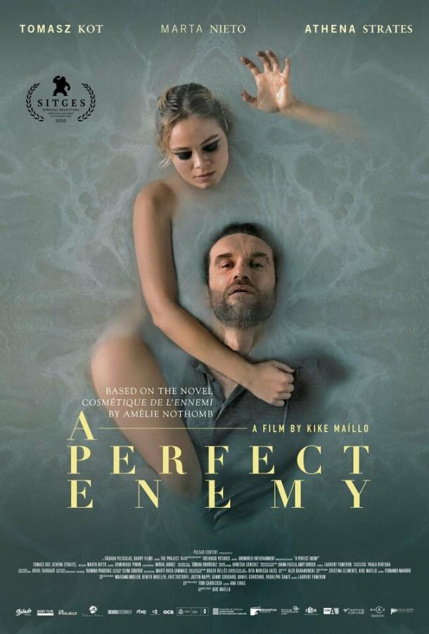 Фильм Идеальный враг (2020) смотреть онлайн в HD качестве